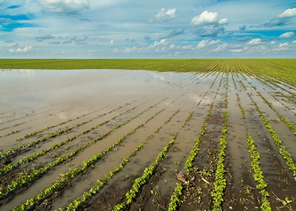 midwest flooding